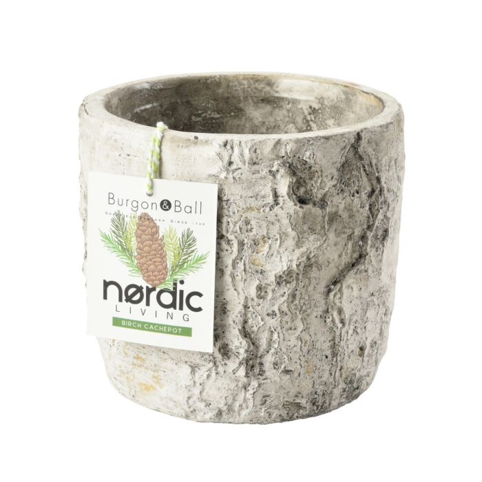 Burgon & Ball Silver Birch Plant Pot - Medium-1